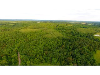Property photo 27 - LAND AUCTION - 1,050+/- ACRES OFFERED IN 21 TRACTS PLUS 450+/- ACRE HUNTING LEASE IN MUSKINGUM COUNTY, OHIO